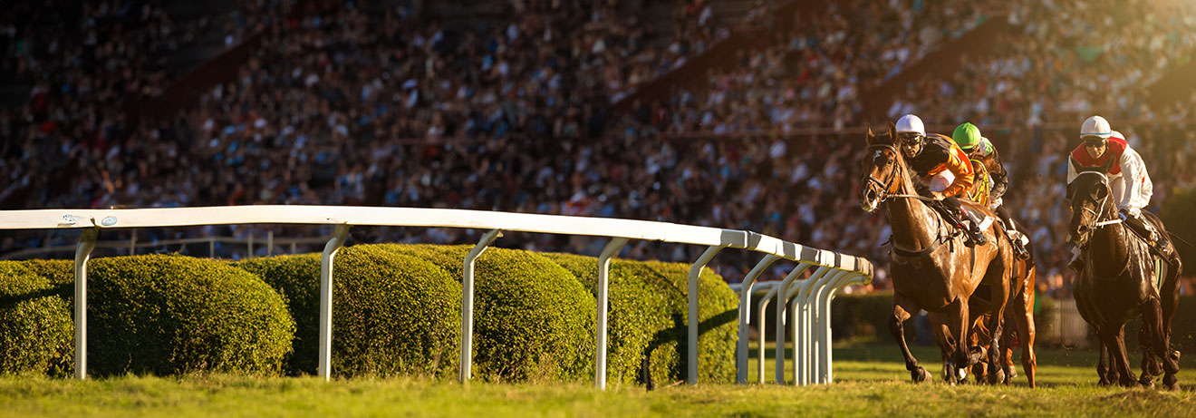 course hippique